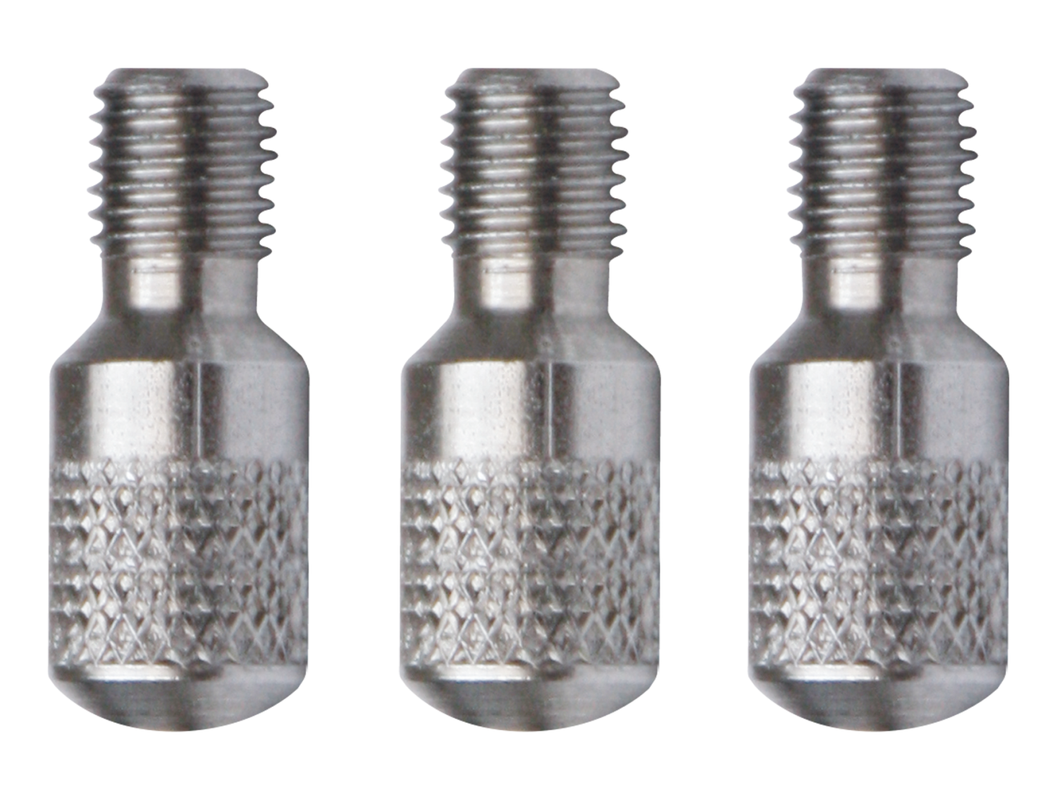 RUNPO RVS Blinde Schroef RTG6 (3 stuks)