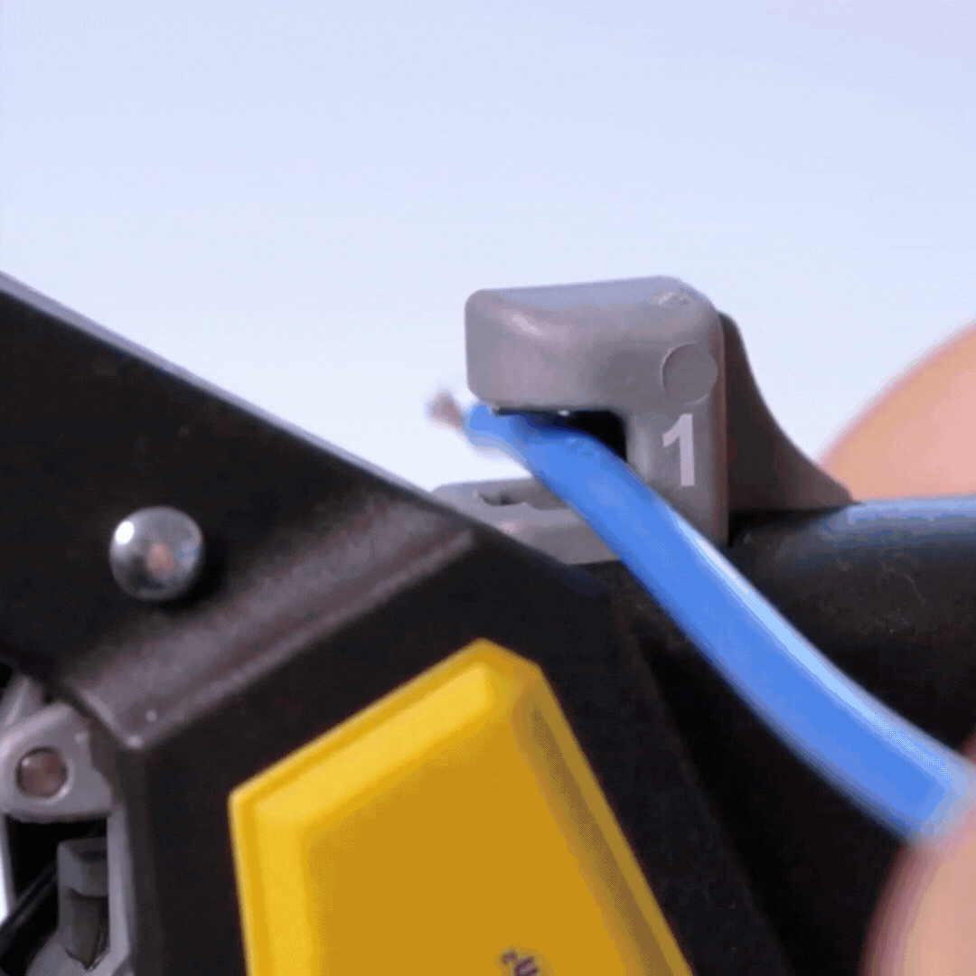 Jokari Quadro social