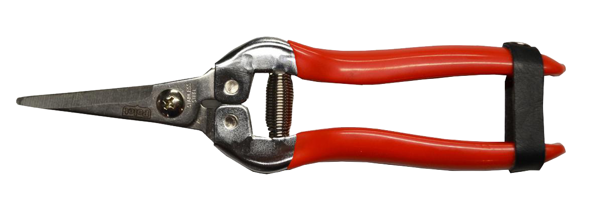 Polet Fruitschaar/Bloemschikschaar 185mm