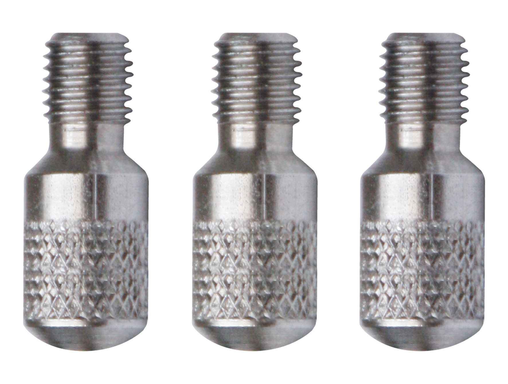 RUNPO RVS Blinde Schroef RTG6 (3 stuks)