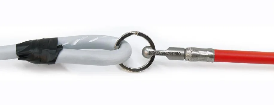 RUNPO Oog met Ring RTG6.png