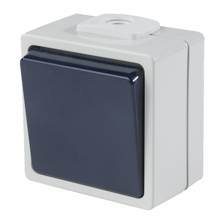 Schwabe Opbouwschakelaar 230V/10A IP54 Lichtgrijs/Staalgrijs tot 2.5mm² enkelpolig