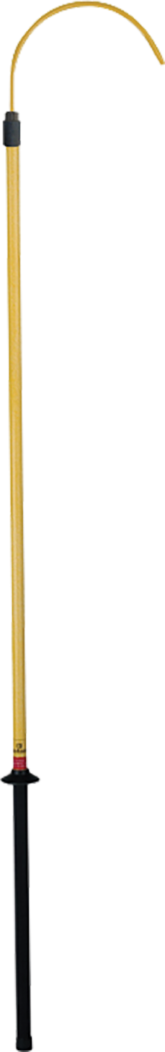 Friedrich Reddingshaak 45kV 1,75m